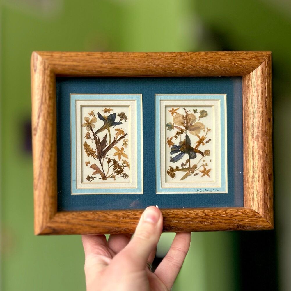 ❌SOLD Dried Pressed Florals Encased Behind Glass Wall Decor Sign